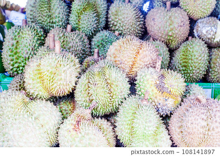 Lot of green durians fruits sale at market, selective focus Lot of green durians fruits sale at market, selective focus 108141897