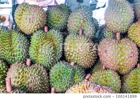 Lot of green durians fruits sale at market, selective focus 108141899