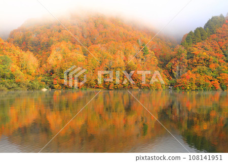 Autumn leaves of Okadaden Lake Autumn leaves of Okadaden Lake 108141951