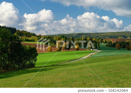 Beautiful autumn landscape. Colourful nature in autumn time. Highlands - Czech Republic. 108142064