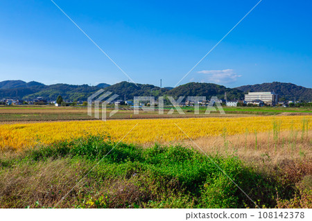 Field scenery on a sunny day 108142378