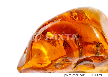 Macro Amber mineral stone with spider on white background 108142908