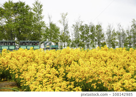 公路列車上金金字塔(田園村) 公路列車上金金字塔(田園村) 108142985