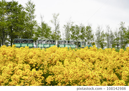 公路列車上金金字塔(田園村) 公路列車上金金字塔(田園村) 108142986