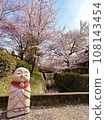 Path of Philosophy: Cherry blossoms and Jizo statues in full bloom 108143454
