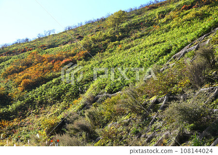 紅葉季節 志賀草津高原路線的風景 108144024