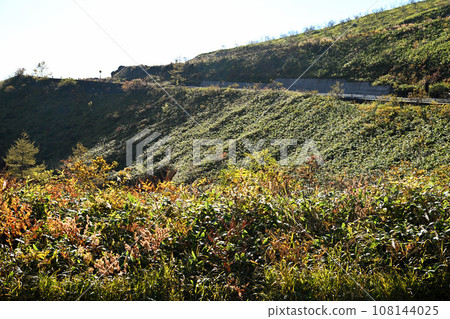 紅葉季節 志賀草津高原路線的風景 108144025