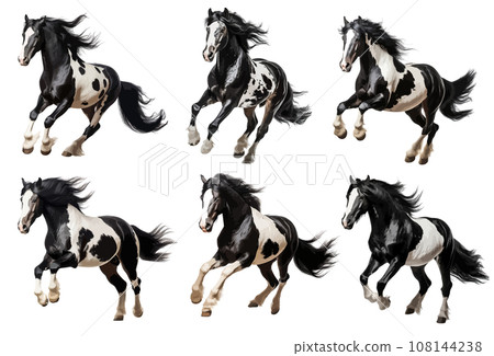 Black and white horse running vector set isolated on white background Black and white horse running vector set isolated on white background 108144238