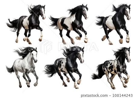 Black and white horse running vector set isolated on white background 108144243