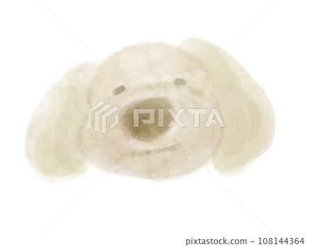 玩具貴賓犬正面圖 玩具貴賓犬正面圖 108144364