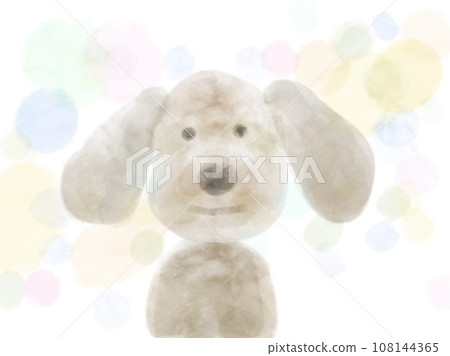 玩具貴賓犬正面圖 玩具貴賓犬正面圖 108144365