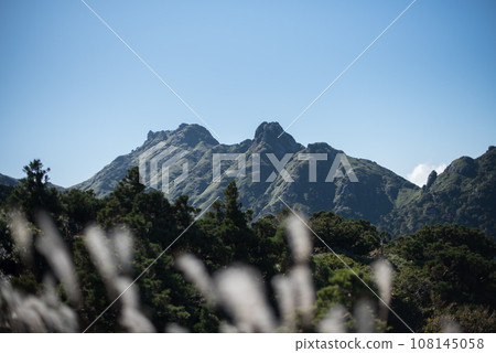 [鹿兒島縣] 屋久島永田山 108145058