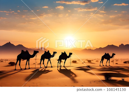 Silhouette of a caravan of camels in the desert at sunset Silhouette of a caravan of camels in the desert at sunset 108145130
