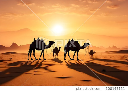 Silhouette of a caravan of camels in the desert at sunset Silhouette of a caravan of camels in the desert at sunset 108145131