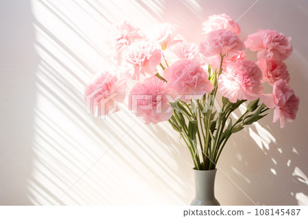 Pink Carnations Bouquet on White Wall Background with Sunlight Shadows for Home Decor Pink Carnations Bouquet on White Wall Background with Sunlight Shadows for Home Decor 108145487