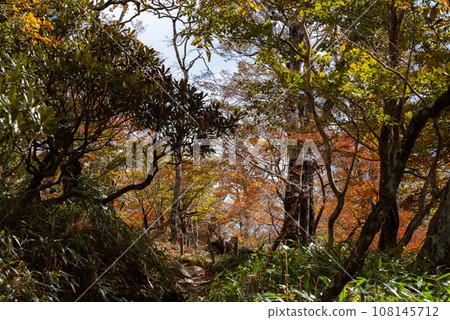 Odaigahara, a mountain trail to walk while watching the autumn leaves 108145712