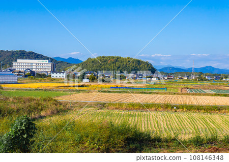 秋天米領域和藍天 秋天米領域和藍天 108146348