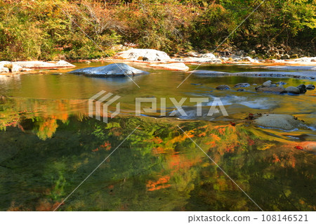[愛媛郡]晴天奧莫戈峽谷的紅葉（河原五色） 108146521