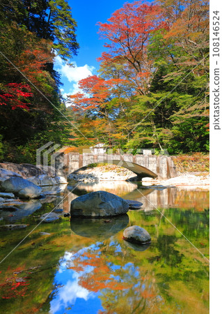 [Ehime Prefecture] Autumn leaves at Omogo Gorge on a clear day (Goshiki Kawara) 108146524