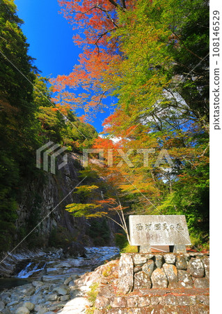 [愛媛郡]晴天奧莫戈峽谷的紅葉（龜原） 108146529