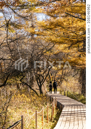 [Tochigi Prefecture] Autumn sunny Okunikko Senjogahara (October) 108146962