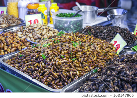Thai food deep fried spicy silk worms and insects at night street food market 108147906