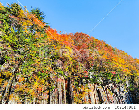 Autumn leaves in Hachimantai/Matsukawa Valley (Matsukawa basalt) Autumn leaves in Hachimantai/Matsukawa Valley (Matsukawa basalt) 108147991