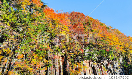 Autumn leaves in Hachimantai/Matsukawa Valley (Matsukawa basalt) Autumn leaves in Hachimantai/Matsukawa Valley (Matsukawa basalt) 108147992