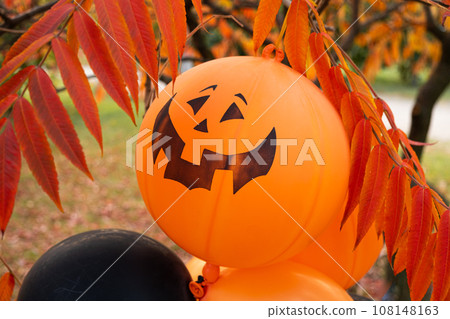 Halloween pumpkin balloons, orange and black in autumn park. Halloween pumpkin balloons, orange and black in autumn park. 108148163