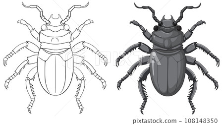 Scarab Beetle Outline for Colouring 108148350