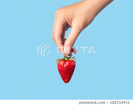 ripe strawberry in hand blue background 108150452