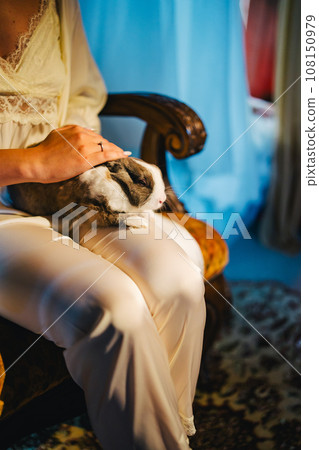 Without a face. Cute rabbit in the hands of a girl in silk pajamas. 108150979