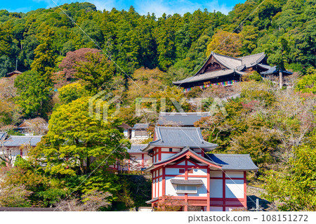 [Nara Prefecture] Hasedera Temple, Sakurai City (Photo taken on October 24, 2023) 108151272
