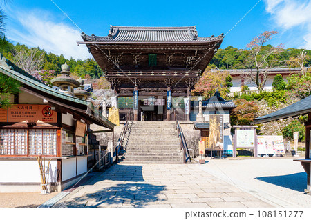 [Nara Prefecture] Hasedera Temple, Sakurai City (Photo taken on October 24, 2023) 108151277