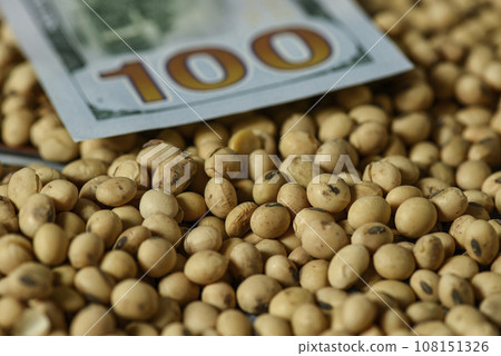Dollars banknotes and coins and soy beans, commoditi value concept. 108151326