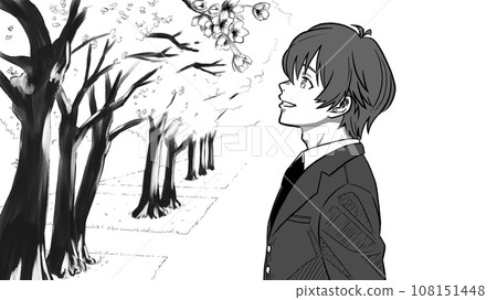 一名男學生看櫻花的側影，一排櫻花樹（單色） 108151448