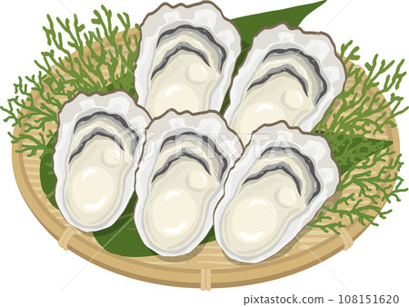 Oysters in a colander 108151620
