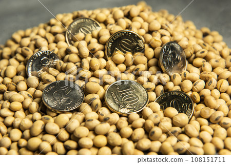 Dollars banknotes and coins and soy beans, commoditi value concept. 108151711