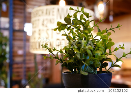 Fake green at interior shop 108152102