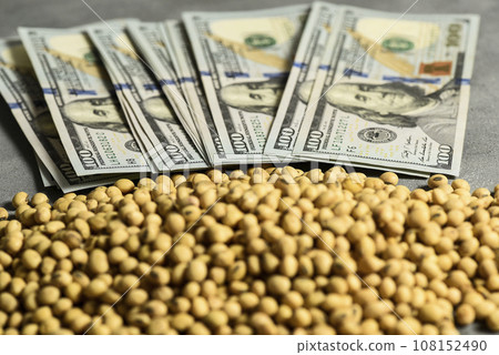 Dollars banknotes and coins and soy beans, commoditi value concept. 108152490