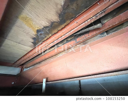 閣樓裡的木頭因漏水、潮濕而腐爛發黴。 108153250