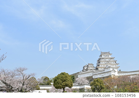 World Heritage Site Himeji Castle Sannomaru Square and cherry blossom season World Heritage Site Himeji Castle Sannomaru Square and cherry blossom season 108153456