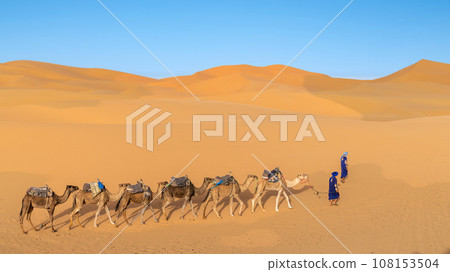 Two unidentified Berber men leading a camel caravan across sand dunes in Sahara Desert, Morocco 108153504