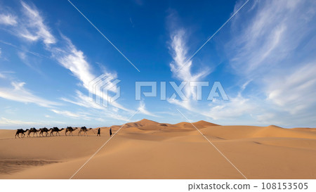 Two unidentified Berber men leading a camel caravan across sand dunes in Sahara Desert, Morocco 108153505