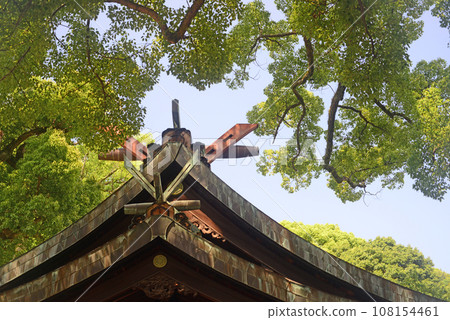 Onomichi Atsushi Shrine and fresh green camphor trees Onomichi Atsushi Shrine and fresh green camphor trees 108154461