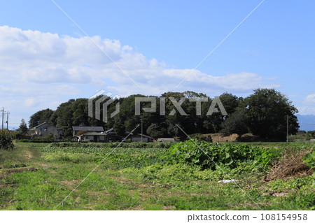 恩納堀（二宮地區峰下點） 108154958