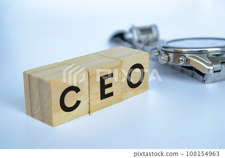 CEO text on wooden cubes representing Chief Executive Officer with customizable space for text. Copy space and Senior Management concept. 108154963