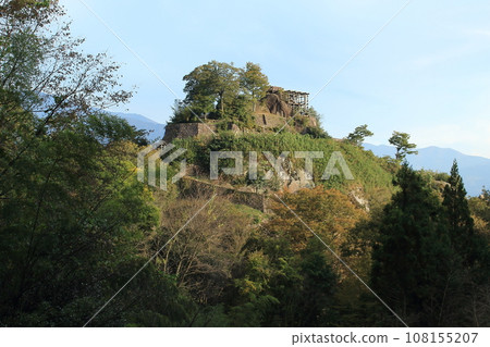 樹苗城堡廢墟 樹苗城堡廢墟 108155207