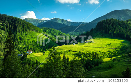 Green meadows and mountains 108155593