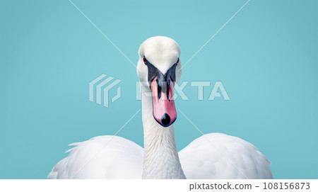 Advertising portrait, banner, beautiful white swan looking straight, isolated on light blue background 108156873